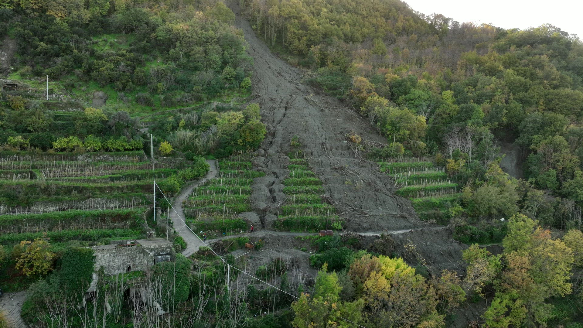 Ischia La Colata Sulle Vigne Le Immagini Dal Drone Local Team